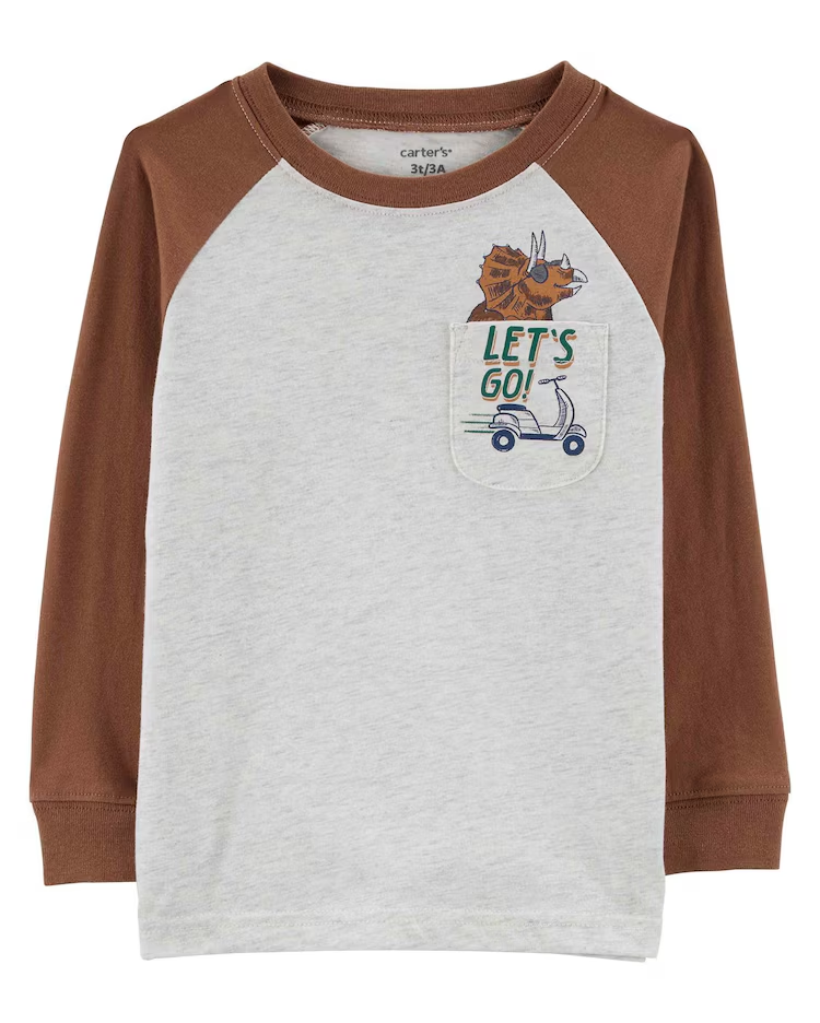 Blusa infantil manga longa dinossauro cinza |